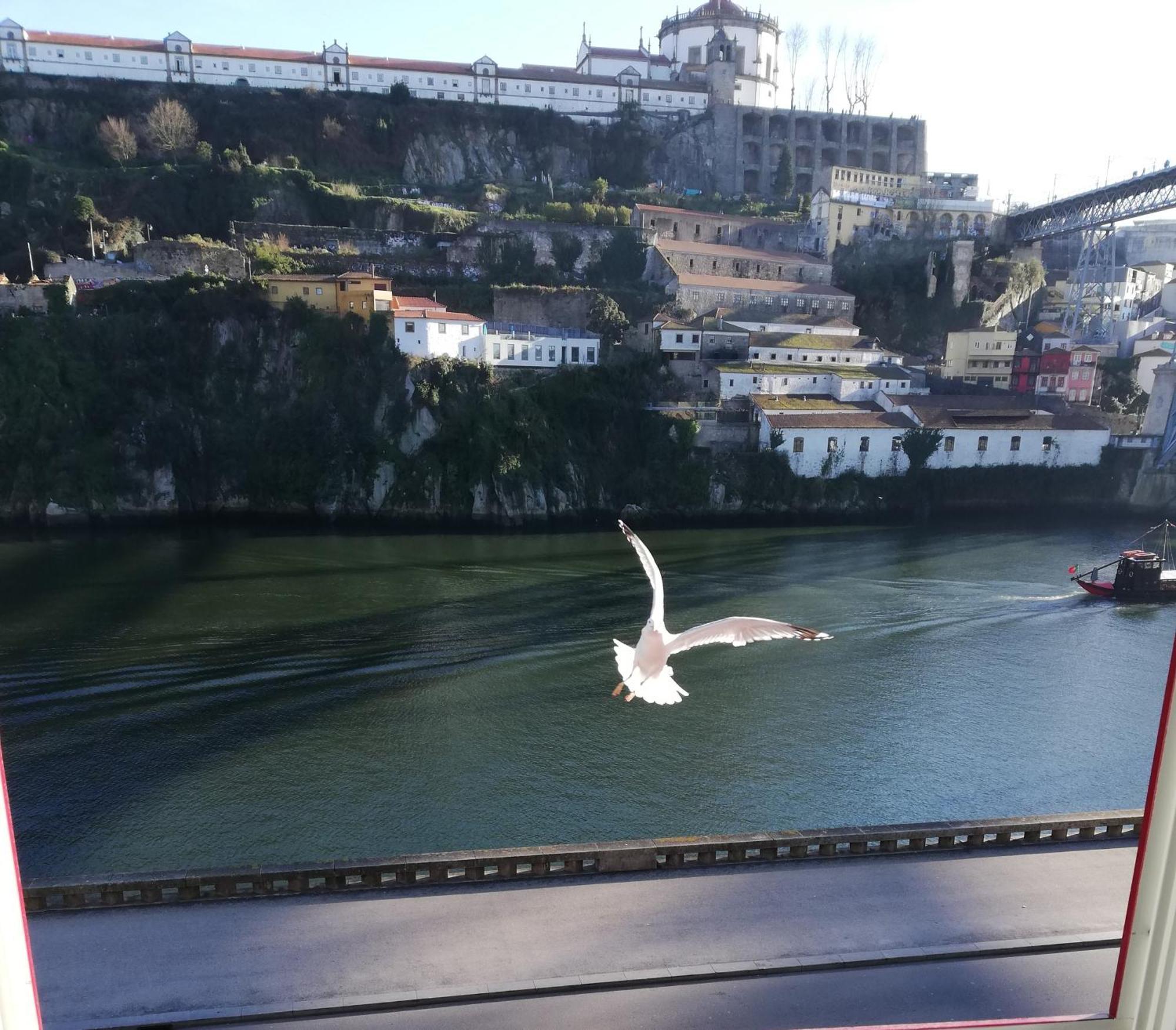 Red House By The River Porto Exterior foto